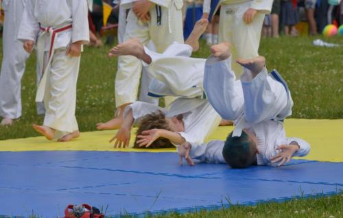 Jujitsu-DSC 0526