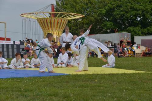 Jujitsu-DSC 0545