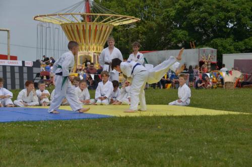 Jujitsu-DSC 0546